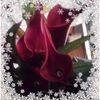 nancymilam56